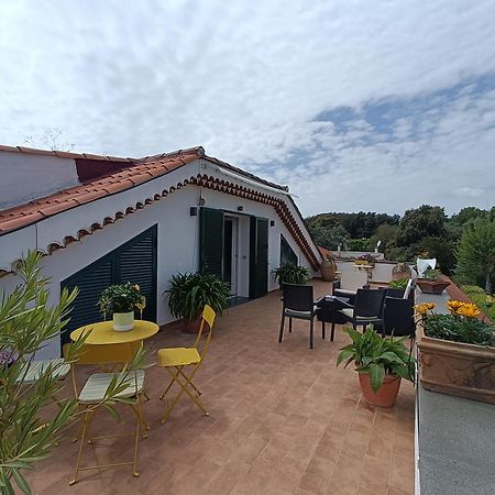 Casa Olivella Lägenhet Torre del Greco Exteriör bild
