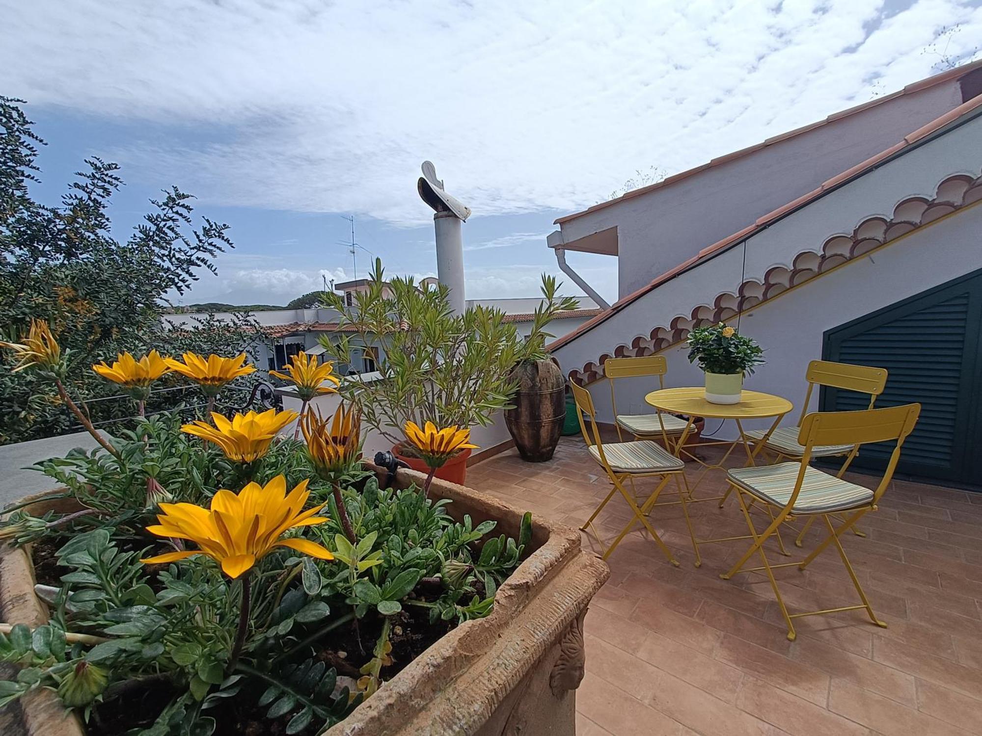 Casa Olivella Lägenhet Torre del Greco Exteriör bild