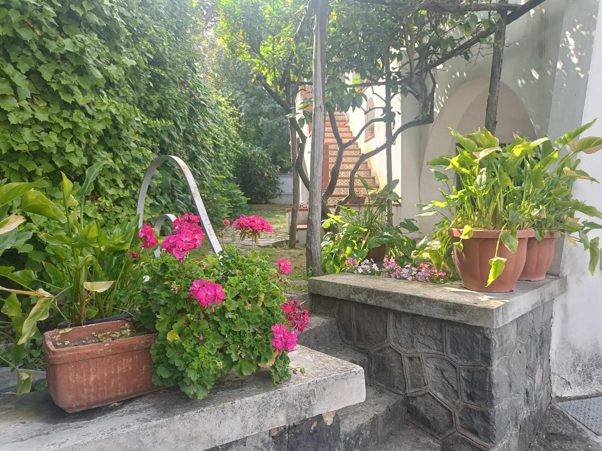 Casa Olivella Lägenhet Torre del Greco Exteriör bild